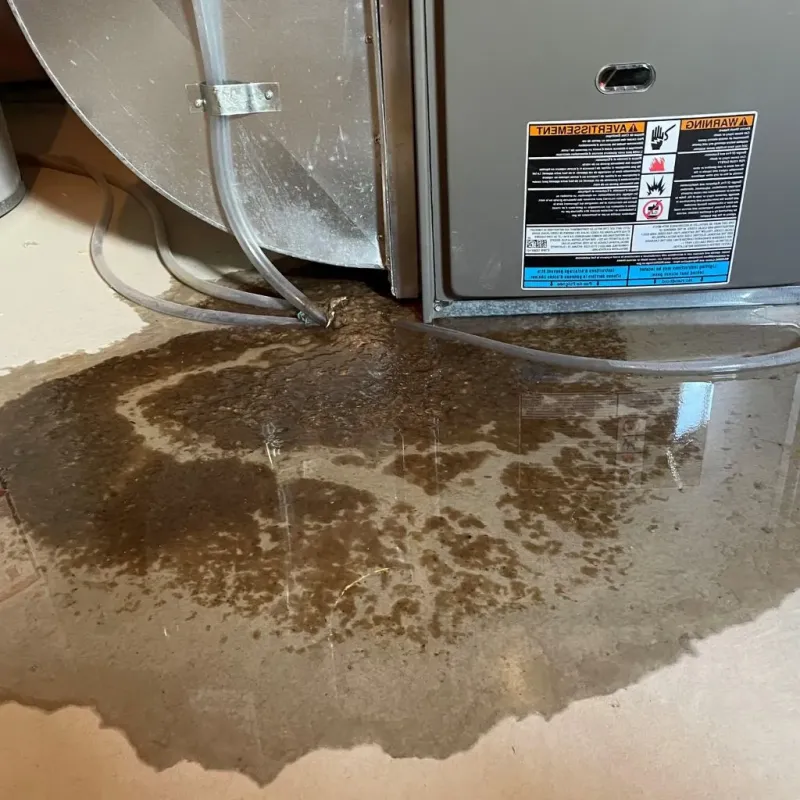 Pipe Burst and Leak Restoration in Litchfield County, CT